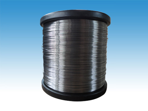 ������Բ˿